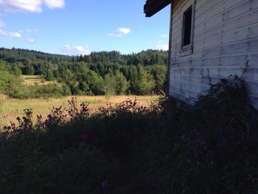 Chehalis septic design.jpg